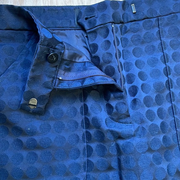 J crew blue polka dot skirt - Picture 2 of 7